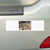 Alpha Wolf Bumpersticker (Op auto)