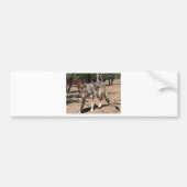 Alpha Wolf Bumpersticker (Voorkant)