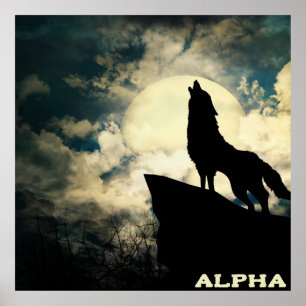 Alpha Wolf die naar de volle maan kijkt Poster
