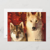 Alpha Wolves Herfst Briefkaarten (Voorkant / Achterkant)