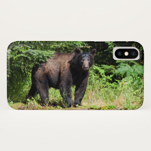 Alpha Zwarte Beer Case-Mate iPhone Case (Achterkant (horizontaal))