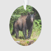 Alpha Zwarte Beer Ornament (voorkant)
