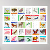 Alphabet Animal Poster (Voorkant)