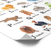 Alphabet Dier A - Een educatief klaslokaal Poster (Hoek)