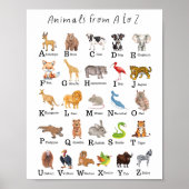 Alphabet Dier A - Een educatief klaslokaal Poster (Voorkant)