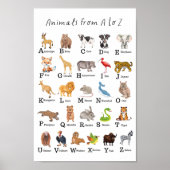 Alphabet Dier A - Z Kinderen Educatieve Kinderopva Poster (Voorkant)