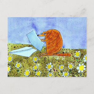 Alphabet Fiesta Armadillo Briefkaart