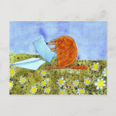 Alphabet Fiesta Armadillo Briefkaart (Voorkant)