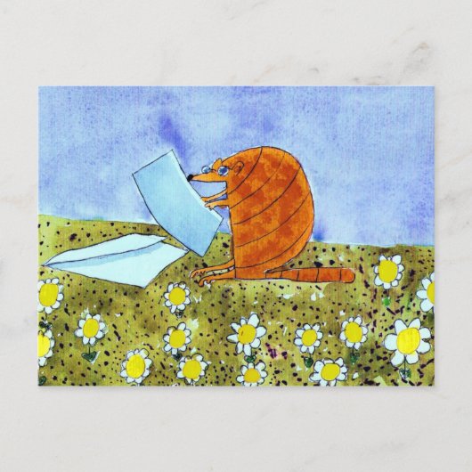 Alphabet Fiesta Armadillo Briefkaart (Voorkant)