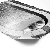 Alphabet Letter-fotografie U2 Black en White, 4x6 Foto Afdruk (Hoek)