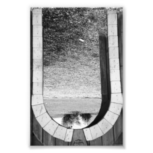 Alphabet Letter-fotografie U2 Black en White, 4x6 Foto Afdruk