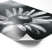 Alphabet Letter Photography O8 Black en White 4x6 Foto Afdruk (Hoek)