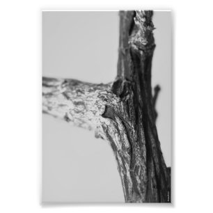 Alphabet Letter Photography Y8 Black en White 4x6 Foto Afdruk