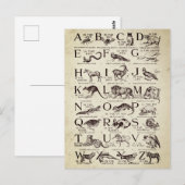Alphabet Nursery Chart Vintage Briefkaart (Voorkant / Achterkant)