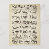 Alphabet Nursery Chart Vintage Briefkaart (Voorkant)