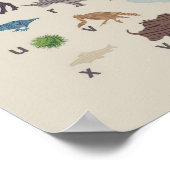 Alphabet Wood Graan Dierlijk Poster (Hoek)