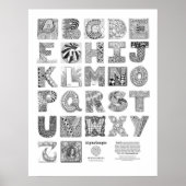 AlphaTangle-Poster Poster (Voorkant)