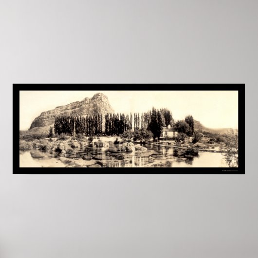 Alpheus Creek ID Foto 1913 Poster (Voorkant)