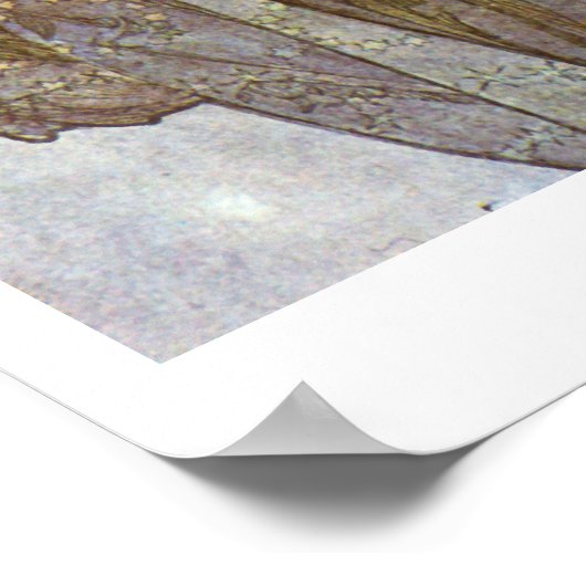 Alphone Mucha ~ The Moon 1902 Poster (Hoek)