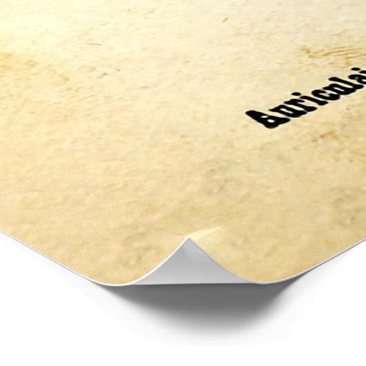 Alphonse Bertillon (1893) Poster (Hoek)