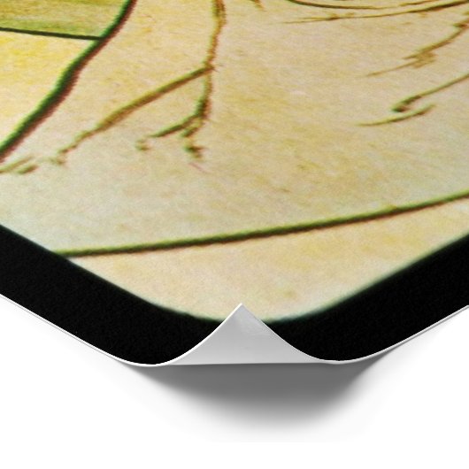 Alphonse Mucha Iris Poster (Hoek)