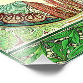 Alphonse Mucha Laurel Print Foto Afdruk (Hoek)