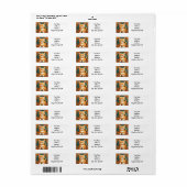 Alphonse Mucha Stijl Oranje Kat Etiket (Full Sheet)