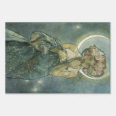 Alphonse Mucha Stunning Art Nouveau Vrouw #18 Inpakpapier Vel (Voorkant 3)