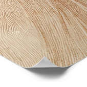 Alphonse Mucha's 'Evocatie' Vrouw Sketch 1897 Poster (Hoek)