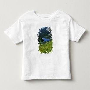 Alpiene bloemen in de Jewel Basin in de Kinder Shirts