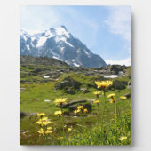 Alpiene bloemen - Mooi! Fotoplaat (Voorkant)