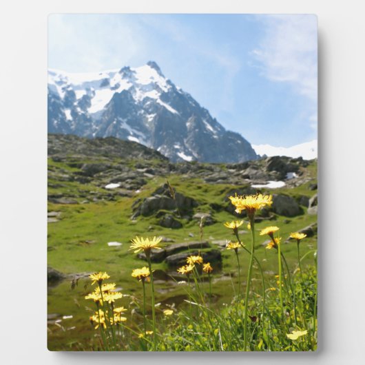 Alpiene bloemen - Mooi! Fotoplaat (Voorkant)