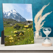 Alpiene bloemen - Mooi! Fotoplaat (Zijkant)