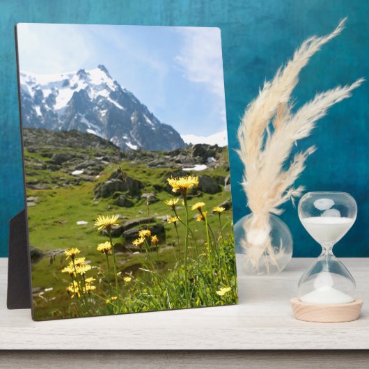 Alpiene bloemen - Mooi! Fotoplaat (Zijkant)
