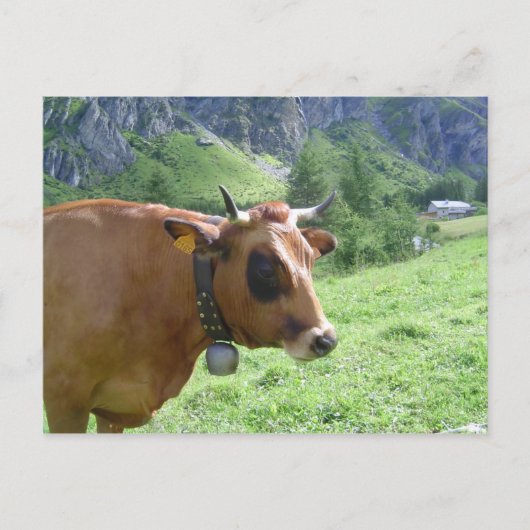 Alpiene Cow Briefkaart (Voorkant)