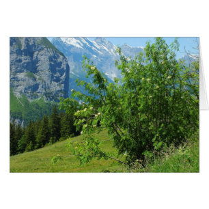 Alpiene landschapskaart