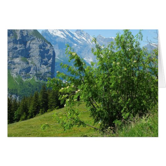 Alpiene landschapskaart (Voorkant Horizontaal)