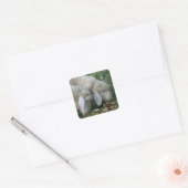 Alpiene Lop-Eared Sheep Stickers (Envelop)