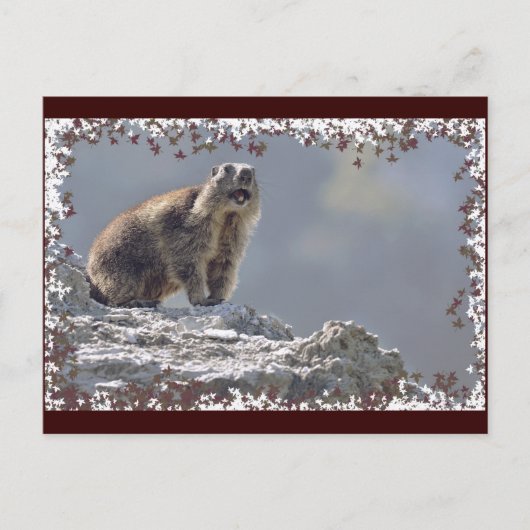 Alpiene marmot in bladeren lijst briefkaart (Voorkant)