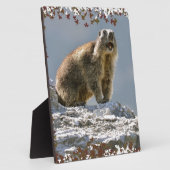 Alpiene marmot in bladeren lijst fotoplaat (Zijkant)