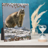 Alpiene marmot in bladeren lijst fotoplaat (Zijkant)