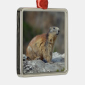 Alpiene marmot op rots metalen ornament (Rechts)