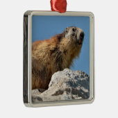 Alpiene marmot op rots metalen ornament (Rechts)