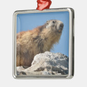 Alpiene marmot op rots metalen ornament (Links)