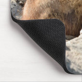 Alpiene marmot op rots muismat (Hoek)