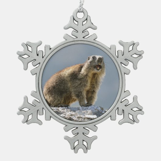 Alpiene marmot op rots tin sneeuwvlok ornament (Voorkant)