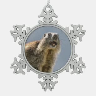 Alpiene marmot op rots tin sneeuwvlok ornament
