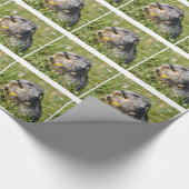 Alpiene moerasbloem cadeaupapier (Hoek)