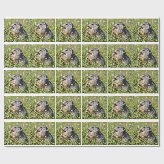 Alpiene moerasbloem cadeaupapier (Vlak)