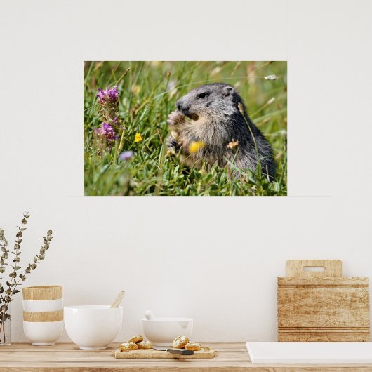 Alpiene moerasbloem poster (Keuken)